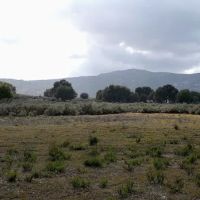 Sagebrush Safari Campsite ico