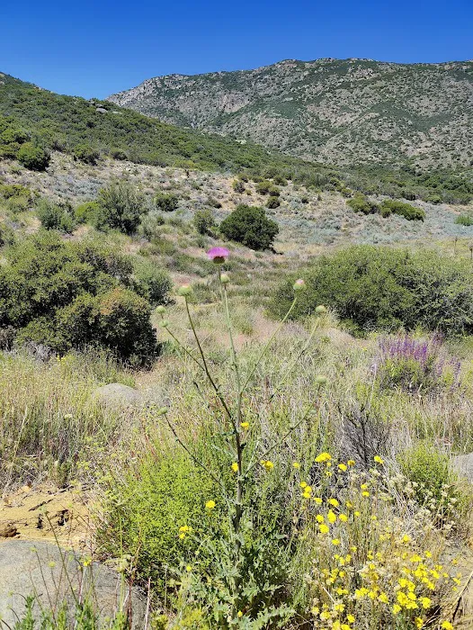 Cibbets Flat Campground Picture 1
