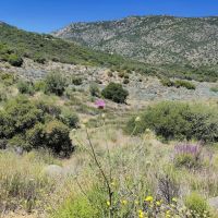 Cibbets Flat Campground ico