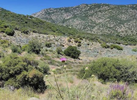 Cibbets Flat Campground