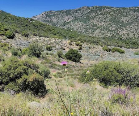 Cibbets Flat Campground