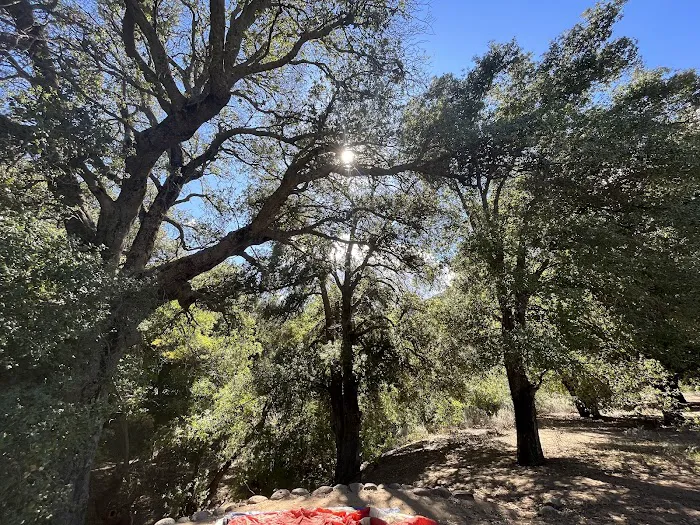 Cibbets Flat Campground Picture 8