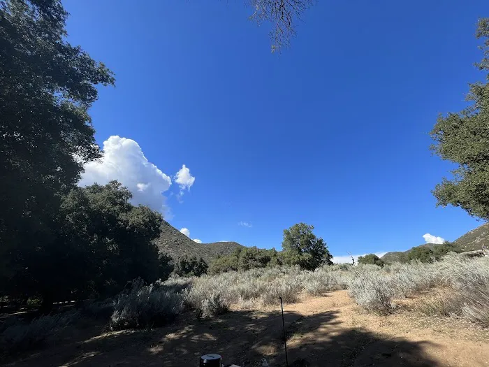Cibbets Flat Campground Picture 5