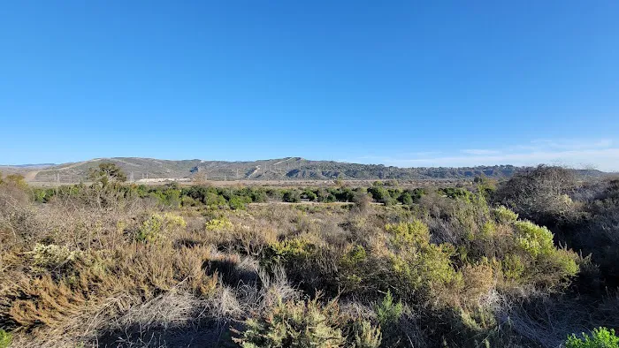 San Mateo Campground Picture 5
