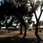 Group Campsite #2