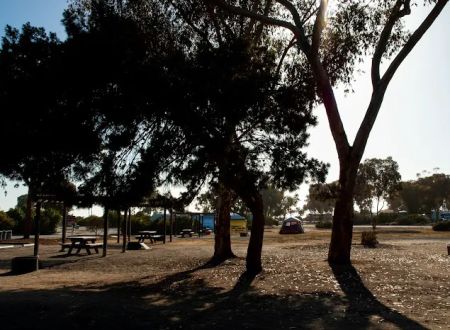 Group Campsite #2