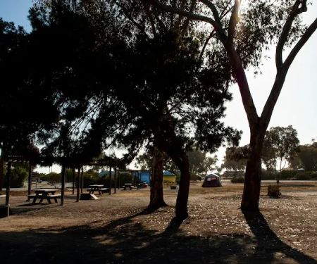 Group Campsite #2