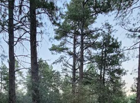 El Prado Group Campground - Whitehorn
