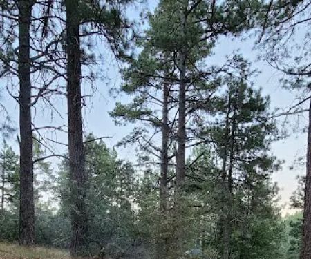 El Prado Group Campground - Whitehorn