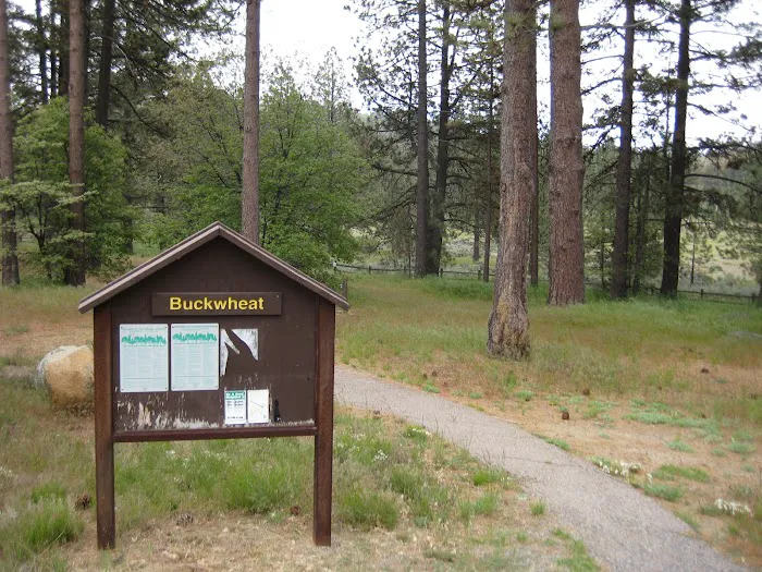 El Prado Group Campground - Big Sage Picture 3