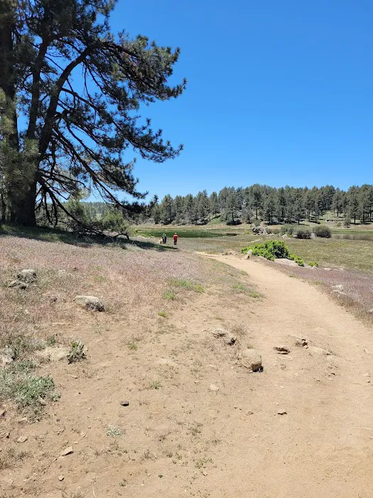 El Prado Group Campground - Big Sage Picture 2