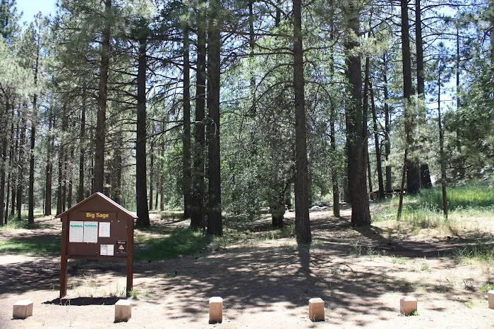 El Prado Group Campground - Big Sage Picture 1