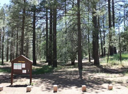 El Prado Group Campground - Big Sage