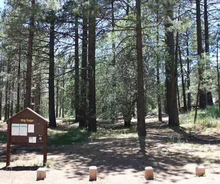 El Prado Group Campground - Big Sage