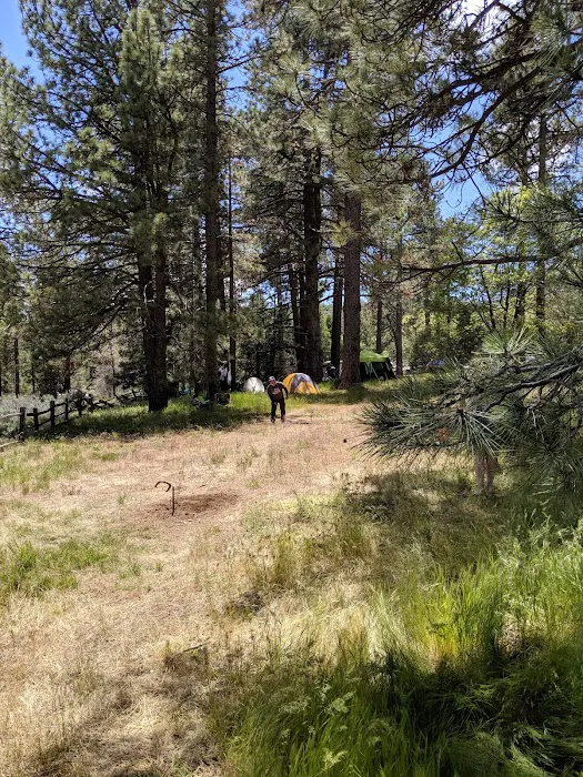 El Prado Group Campground - Big Sage Picture 6