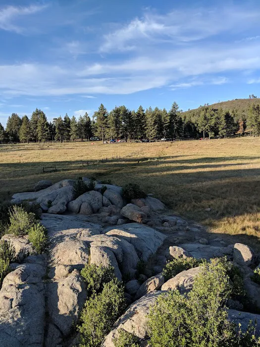 El Prado Group Campground - Big Sage Picture 5