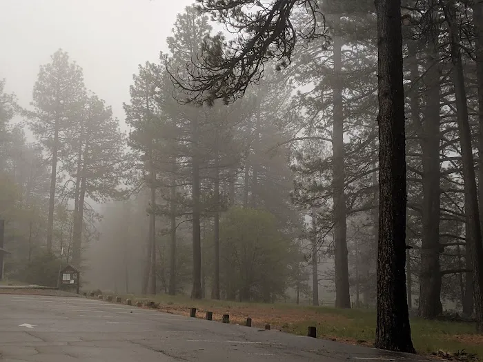 El Prado Group Campground - Big Sage Picture 10
