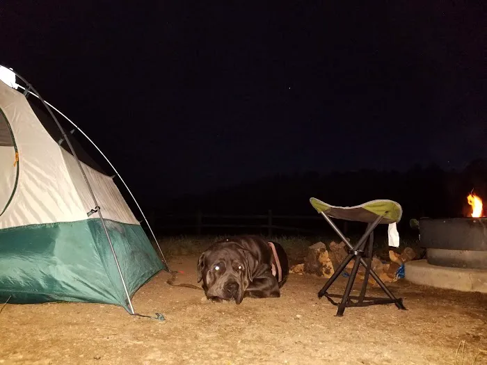 El Prado Group Campground - Big Sage Picture 7