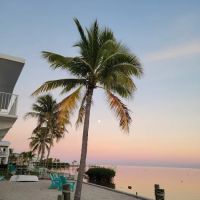 Silver Shores Mobile Home Community ico