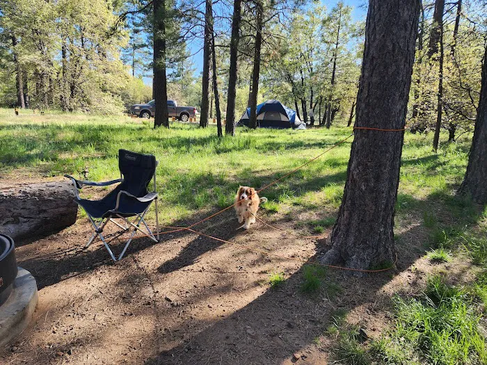 Laguna Campground Picture 3