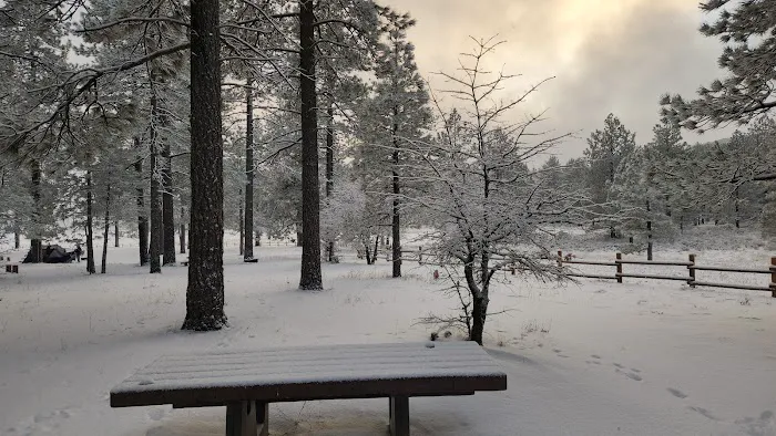Laguna Campground Picture 6