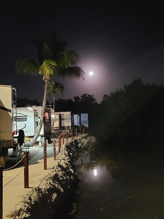 Driftwood Trailer Park Picture 1