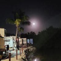 Driftwood Trailer Park ico