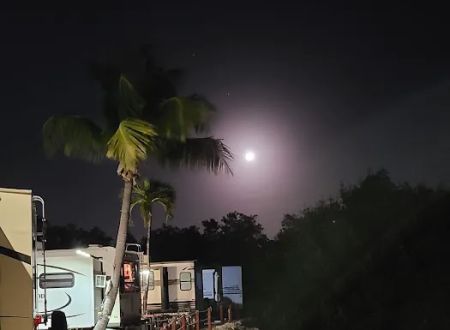 Driftwood Trailer Park