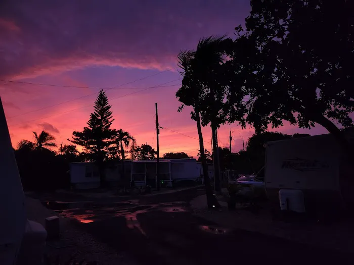 Driftwood Trailer Park Picture 5