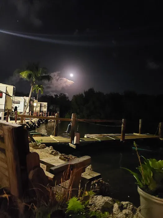 Driftwood Trailer Park Picture 8
