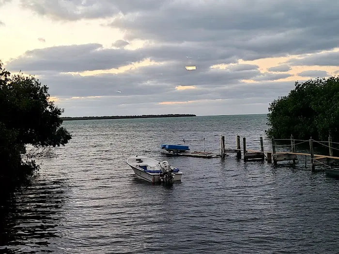 Driftwood Trailer Park Picture 9