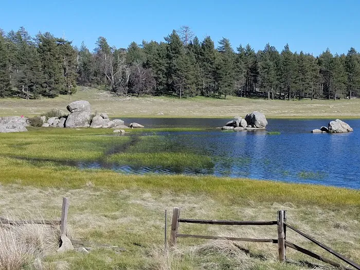 El Prado Group Campground Picture 3