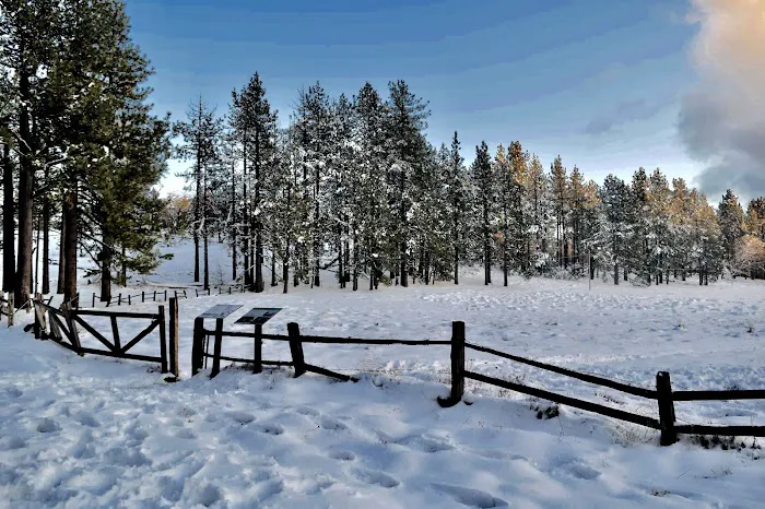 El Prado Group Campground Picture 4