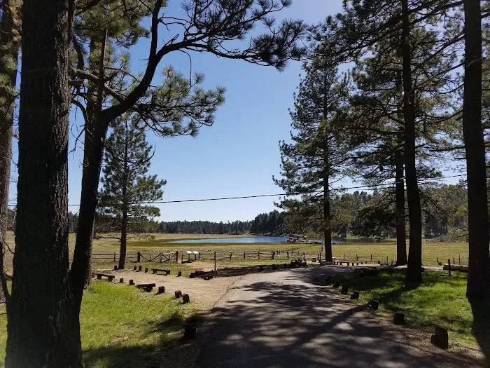 El Prado Group Campground Picture 6