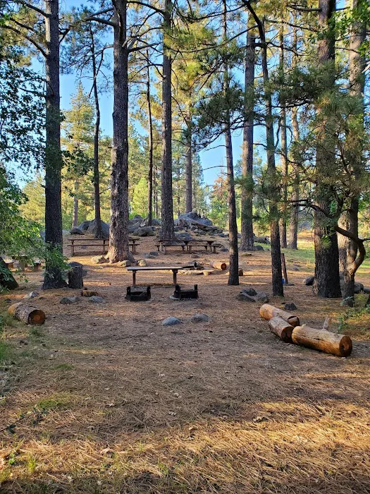 El Prado Group Campground Picture 7
