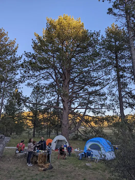 El Prado Group Campground Picture 10