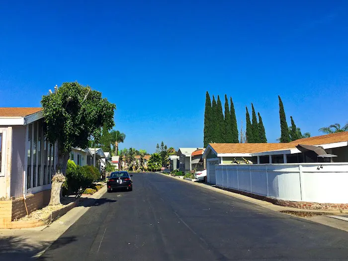 Rio Vista Mobile Home Park Picture 2
