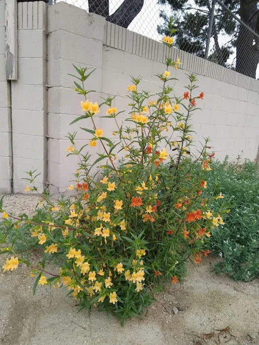 Rio Vista Mobile Home Park Picture 9