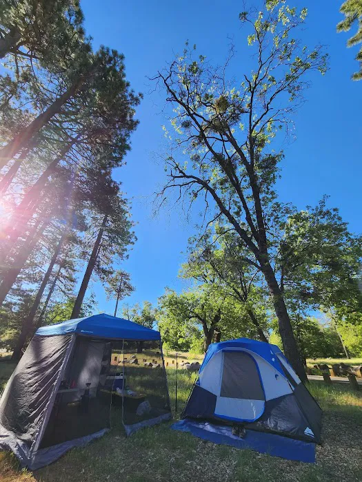 Laguna Campground Picture 6