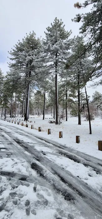 Laguna Campground Picture 7