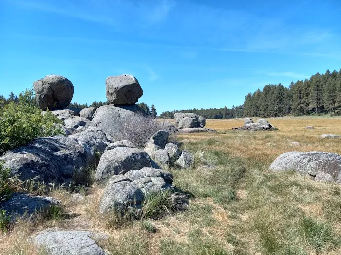 Laguna Campground Picture 9