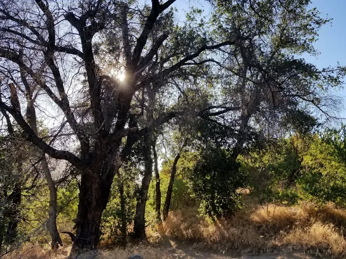 Mataguay Scout Ranch Picture 4