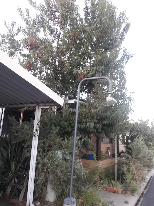 Park Royale Mobile Home Park Picture 3