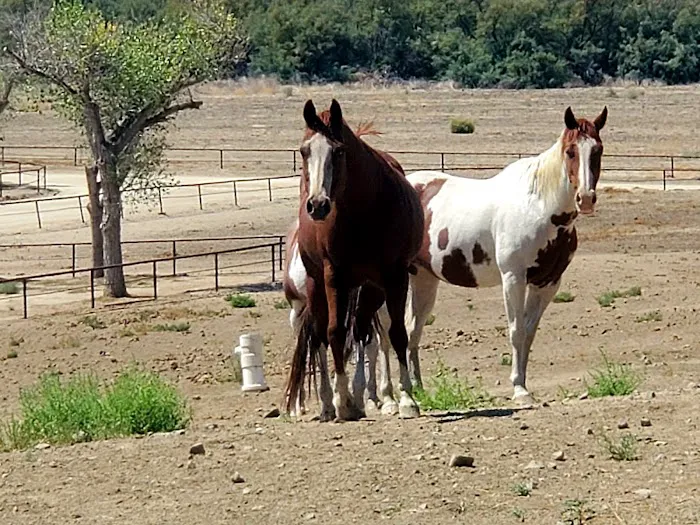 Sundance Meadows Picture 2