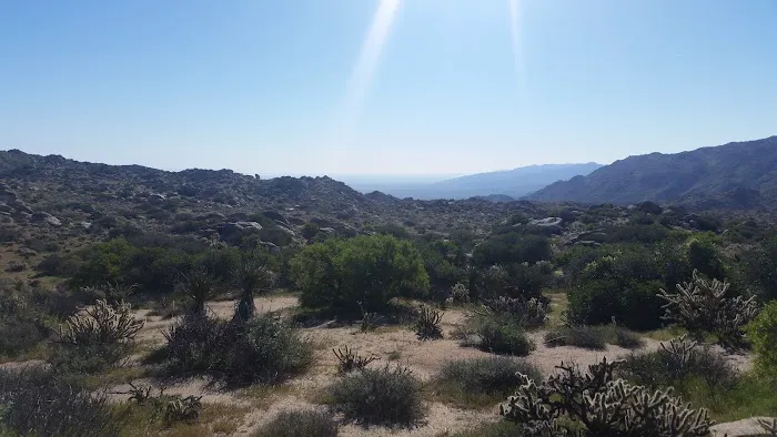 Culp Valley Primitive Campground Picture 5