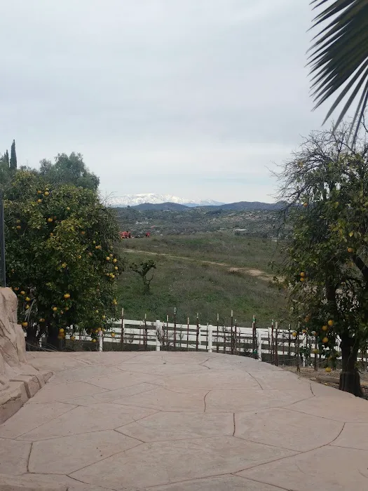 Pete's Camp El Paraiso Picture 5