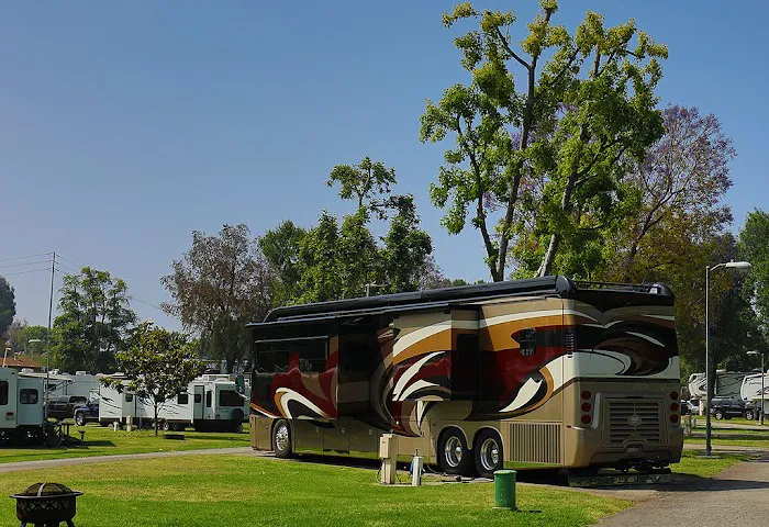 Bonelli Bluffs RV Resort & Campground Picture 5