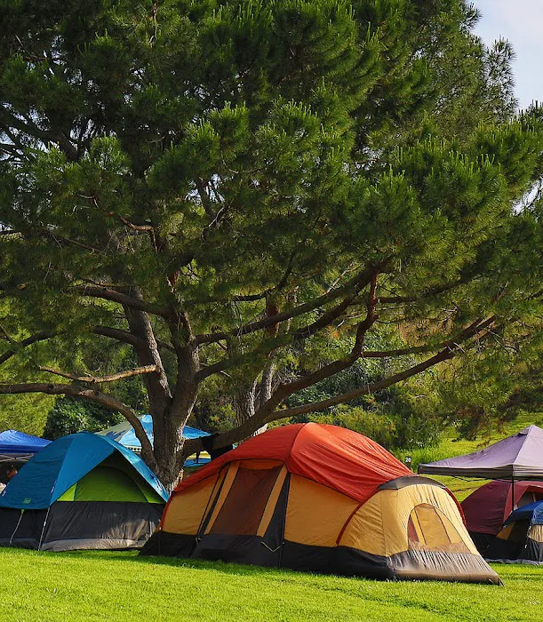 Bonelli Bluffs RV Resort & Campground Picture 8