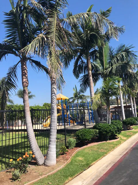 Friendly Village of Anaheim Mobile Home Park Picture 5