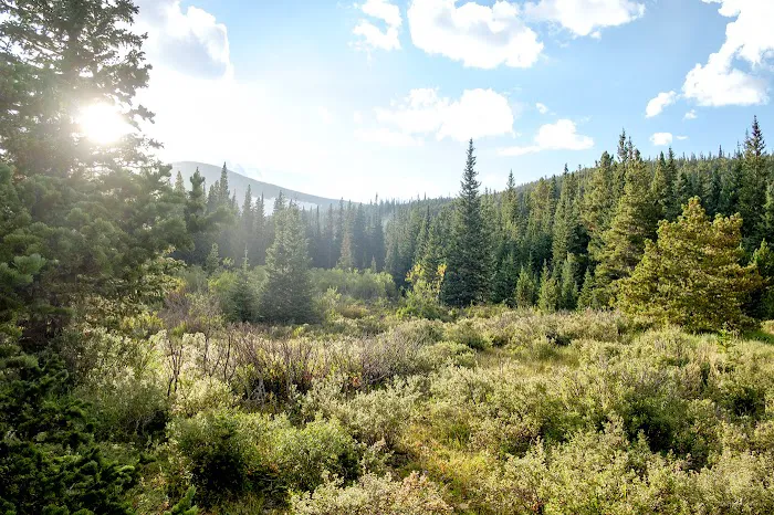 Rainbow Lakes Campground Picture 7